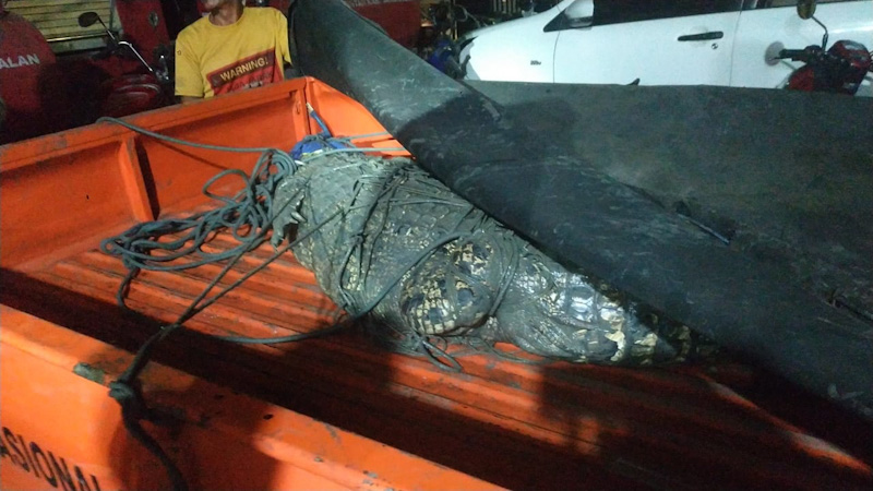 Niat Tangkap Ikan, Warga Bangkalan Malah Dapat&nbsp;Buaya