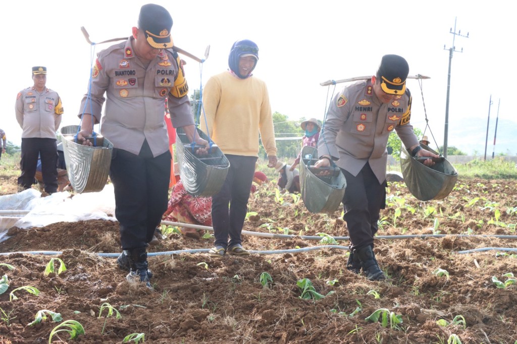 Dukung Petani, Kapolres Sumenep Ikut Menanam hingga Menyiram Tembakau