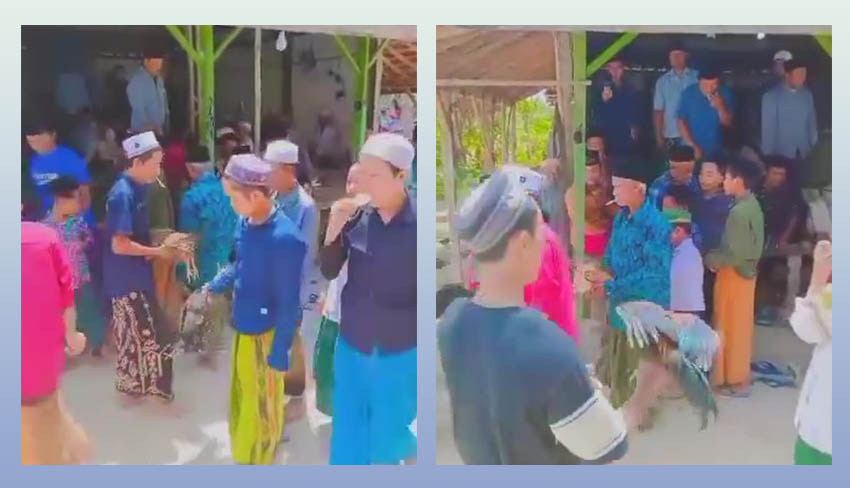Viral, Tamu Undangan Maulid Nabi di Sampang Dapat Ayam Hidup Sebagai&nbsp;Berkat